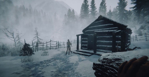 《森林之子》1.0正式版控制台程式碼大全介紹 《森林之子》1.0正式版控制台程式碼大全介紹