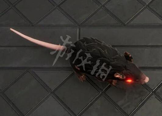 《夜族崛起》老鼠形態作用介紹 《夜族崛起》老鼠形態作用介紹