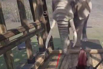 《帝國神話》馴象方法介紹