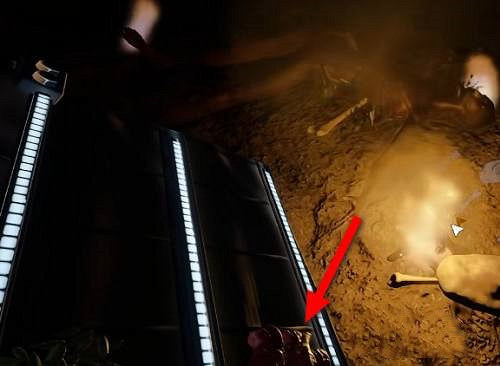 《森林之子》烤肉方法 《森林之子》烤肉方法