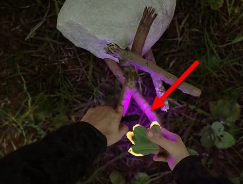 《森林之子》燒水喝方法 《森林之子》燒水喝方法