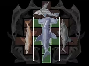 《漁帆暗湧》謎題S解密攻略