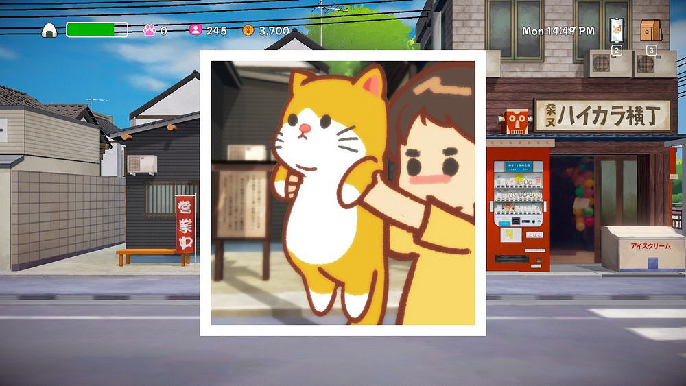 《美希與貓之島》開放試玩版 拍攝貓咪照片經營SNS