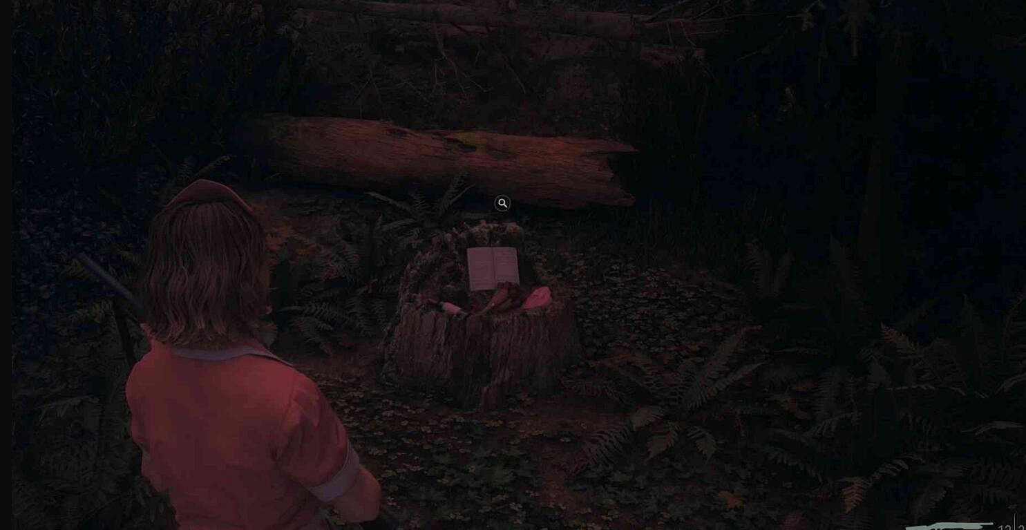 《心靈殺手2》夜泉鎮dlc作者消息收集攻略 《心靈殺手2》夜泉鎮dlc作者消息收集攻略