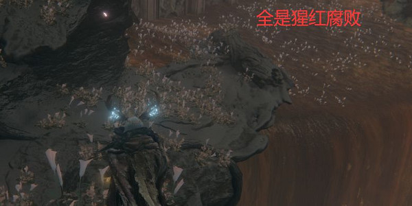 《艾爾登法環》聖樹排水管道位置