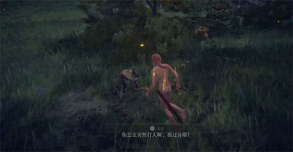 《艾爾登法環》啜泣半島墓地開門方法