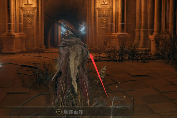 《艾爾登法環》聖樹排水管道位置