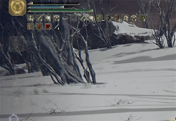 《艾爾登法環》猴戲介紹