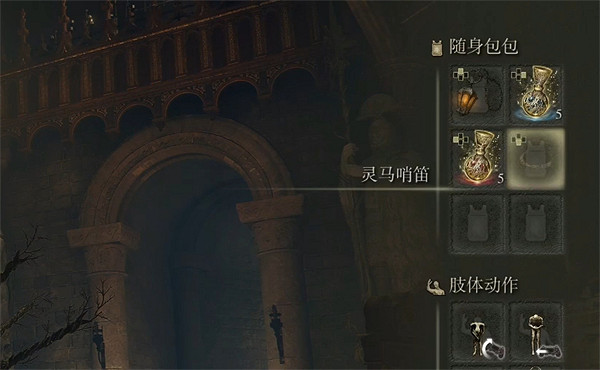 《艾爾登法環》隨身包使用方法