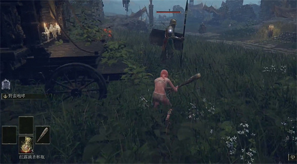 《艾爾登法環》洞穴苔蘚的結晶獲取方法