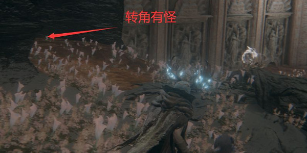 《艾爾登法環》聖樹排水管道位置