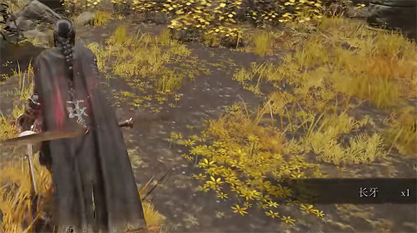 《艾爾登法環》瑪利塔第二教堂前往方法