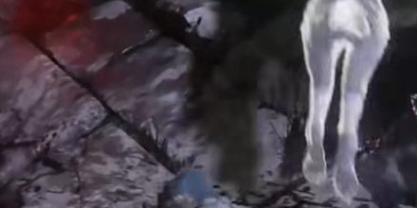 《艾爾登法環》仿生淚滴位置介紹 《艾爾登法環》仿生淚滴位置介紹