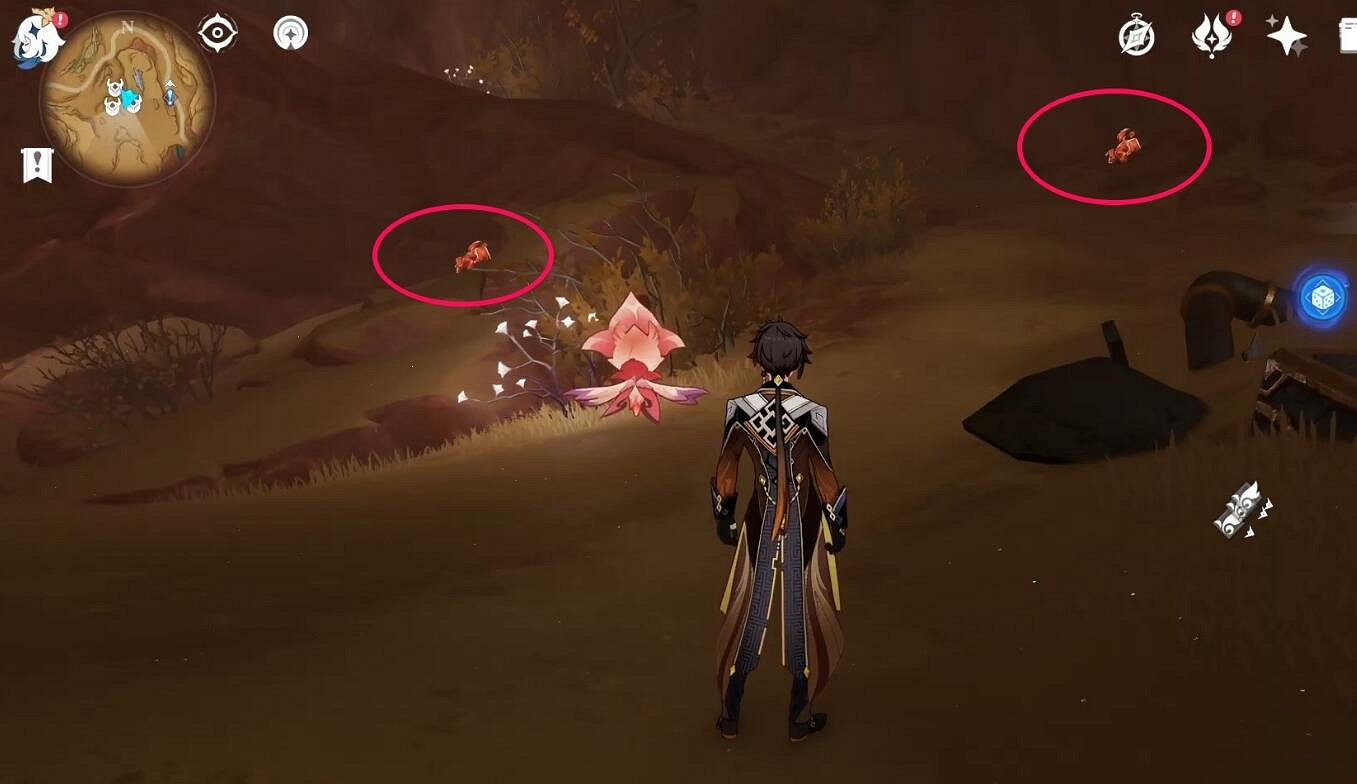 《原神》4.7萬相石荒石蒼漠南採集路線推薦 《原神》4.7萬相石荒石蒼漠南採集路線推薦