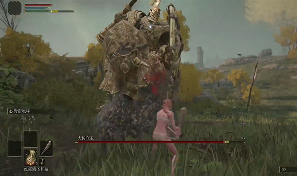 《艾爾登法環》二周目靈珠繼承介紹