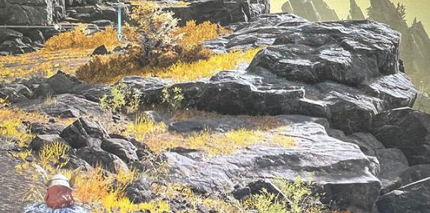 《艾爾登法環》找不到米莉森解決方法 《艾爾登法環》找不到米莉森解決方法