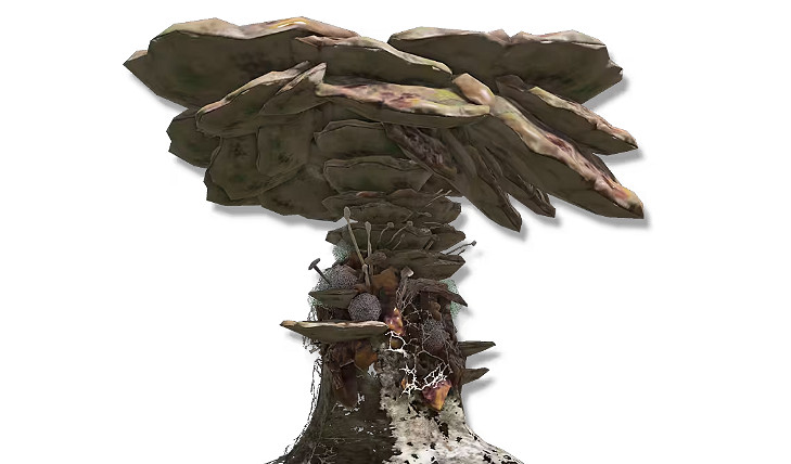 《艾爾登法環》衣服用處介紹