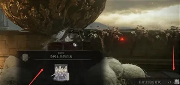 《艾爾登法環》聖樹士兵的骨灰獲取方法