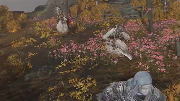 《艾爾登法環》米莉森的護手位置