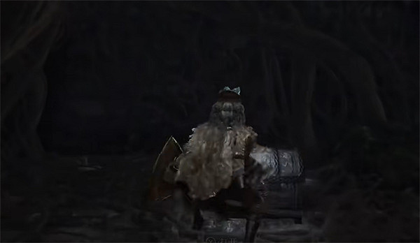 《艾爾登法環》盲女任務少了一個葡萄解決方法 《艾爾登法環》盲女任務少了一個葡萄解決方法