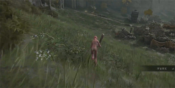 《艾爾登法環》驟死狀態介紹