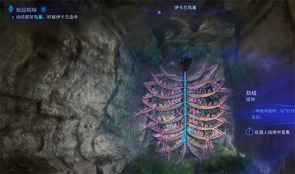 《阿凡達潘朵拉邊境》馴服魅影方法 《阿凡達潘朵拉邊境》馴服魅影方法