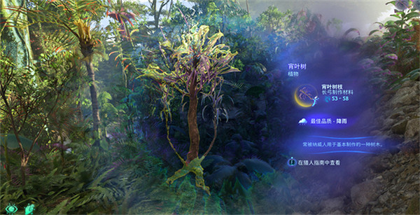 《阿凡達潘朵拉邊境》宵葉樹位置介紹 《阿凡達潘朵拉邊境》宵葉樹位置介紹