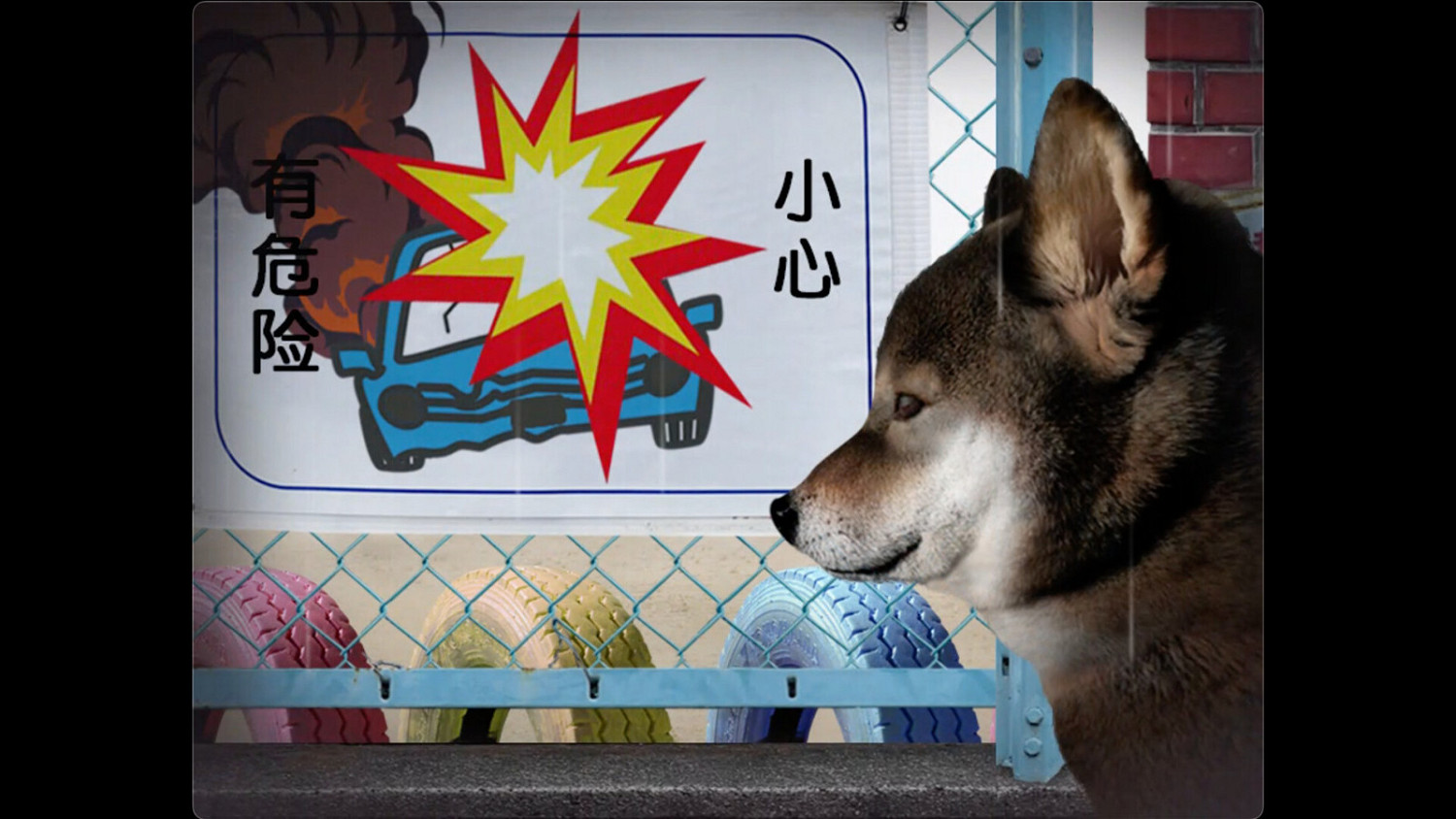 恐怖遊戲《翌日 -波奇狗的歷險記-》Steam頁面上線 支援中文 恐怖遊戲《翌日 -波奇狗的歷險記-》Steam頁面上線 支援中文