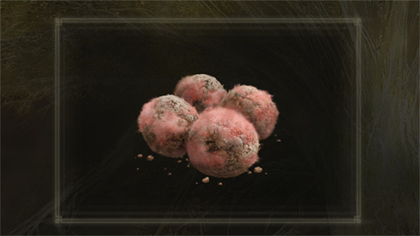 《艾爾登法環》腐敗苔藥製作方法