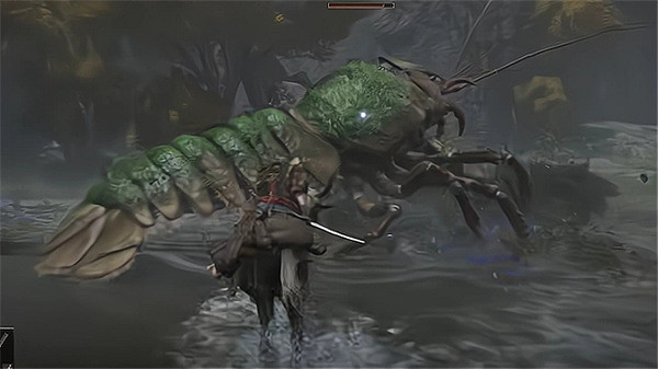 《艾爾登法環》蟹薪王vs蝦薪王