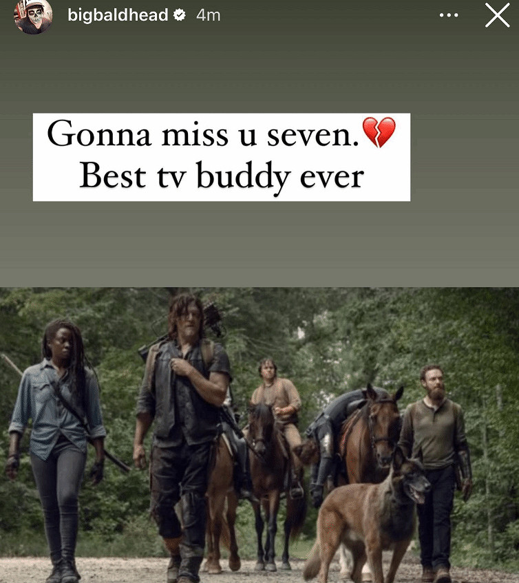 《行屍走肉》狗狗去世 弩哥發文悼念:最好的夥伴! 《行屍走肉》狗狗去世 弩哥發文悼念:最好的夥伴!