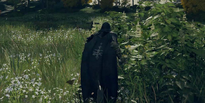 《艾爾登法環》更新率調120方法