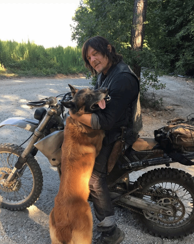 《行屍走肉》狗狗去世 弩哥發文悼念:最好的夥伴! 《行屍走肉》狗狗去世 弩哥發文悼念:最好的夥伴!