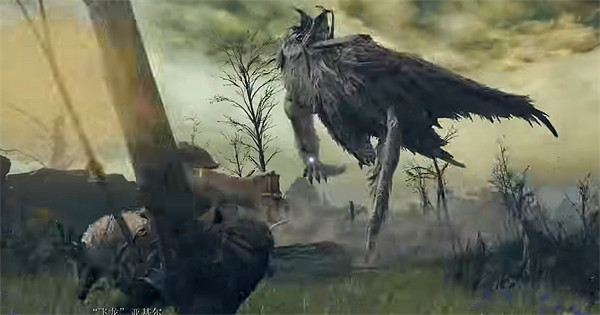 《艾爾登法環》飛龍Boss所在地 《艾爾登法環》飛龍Boss所在地