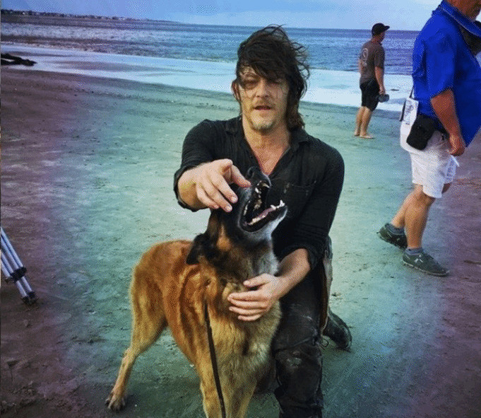 《行屍走肉》狗狗去世 弩哥發文悼念:最好的夥伴! 《行屍走肉》狗狗去世 弩哥發文悼念:最好的夥伴!