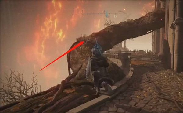 《艾爾登法環》荷萊露路線介紹