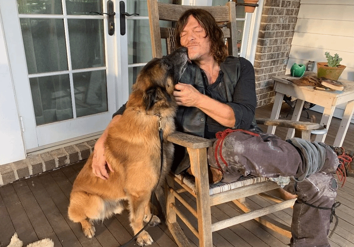 《行屍走肉》狗狗去世 弩哥發文悼念:最好的夥伴! 《行屍走肉》狗狗去世 弩哥發文悼念:最好的夥伴!