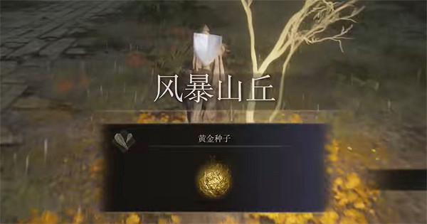 《艾爾登法環》網路需求說明 《艾爾登法環》網路需求說明