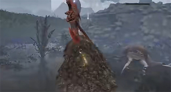 《艾爾登法環》潛霧猛禽強度介紹