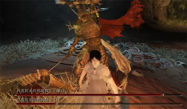 《艾爾登法環》尊腐騎士掉落說明