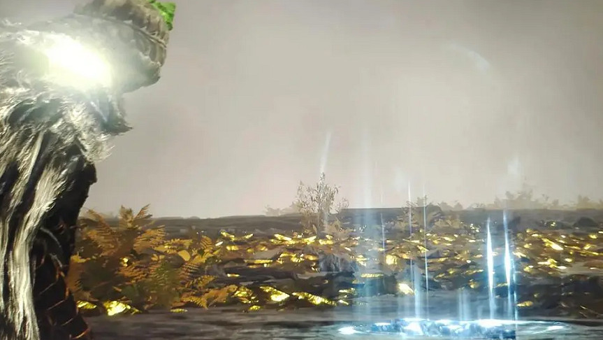 《艾爾登法環》連線互相丟物品方法