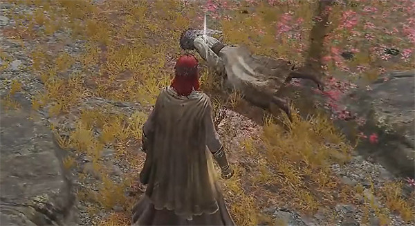 《艾爾登法環》慶典花環獲取位置