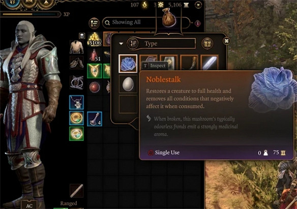 rpg遊戲《柏德之門3》官方MOD或是最後的大更新? rpg遊戲《柏德之門3》官方MOD或是最後的大更新?