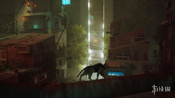 可愛貓貓！《迷失（STRAY）》2024年冬登陸Switch