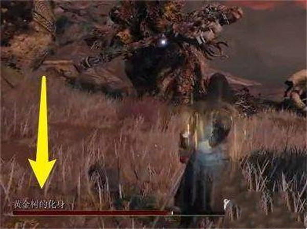 《艾爾登法環》帶魔力破露滴位置