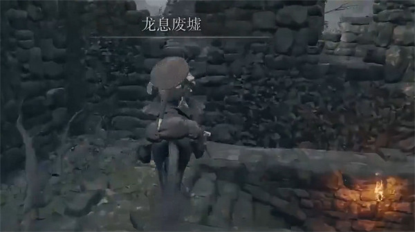 《艾爾登法環》腐敗野狗的骨灰獲取位置