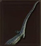 《艾爾登法環》dlc新增武器介紹 《艾爾登法環》dlc新增武器介紹