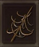 《艾爾登法環》dlc新增武器介紹