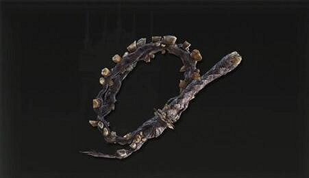 《艾爾登法環》dlc畸齒軟鞭屬性介紹