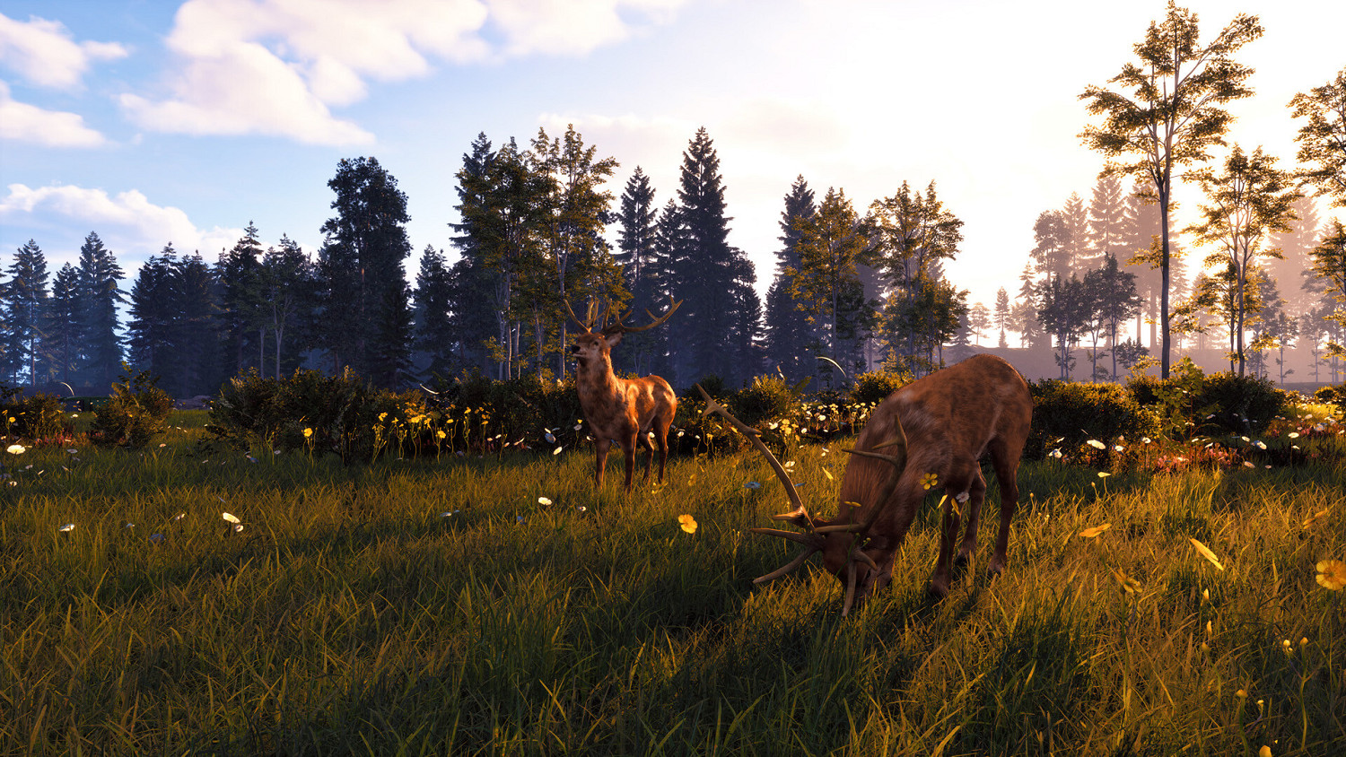 養馬模擬遊戲《風暴:深厚友誼的開始 重製版》現已在Steam平台正式發售 養馬模擬遊戲《風暴:深厚友誼的開始 重製版》現已在Steam平台正式發售